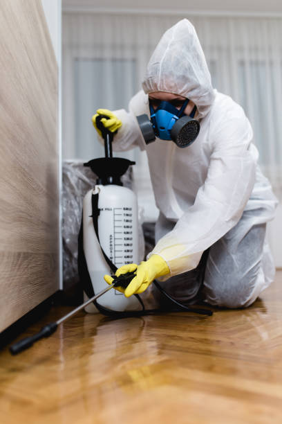 Best Fumigation Services  in Methuen Town, MA